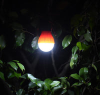 Portable Outdoor Hanging LED Lantern